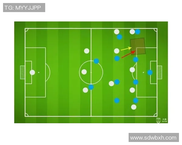 西安羽毛球队区域防守分析与战术调整探讨 西安羽毛球队区域防守分析与战术调整探讨