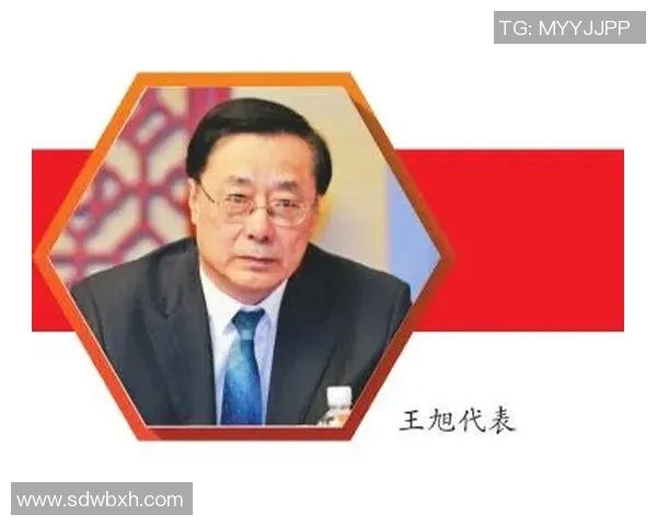 西安篮球队的蜕变与成长：一段不平凡的转型之旅