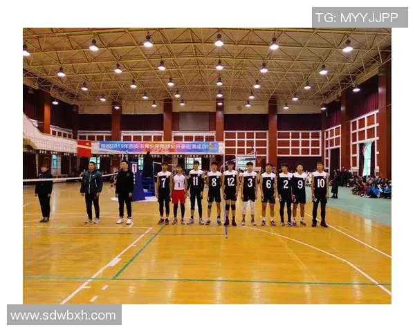 西安排球队实力深度解析与排球发展现状探讨