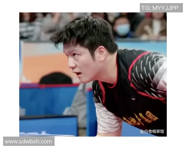 上海乒乓球队的奋斗历程与荣耀瞬间全景纪实