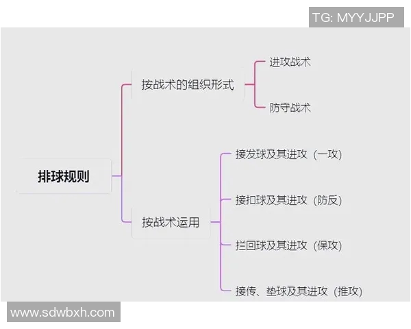 北京排球队意识探讨与战术创新的深度分析与展望