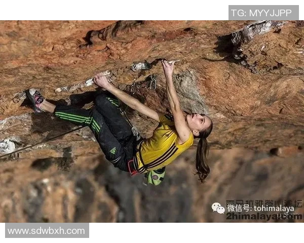专访攀岩女神杨芳揭秘成功秘诀与训练心法