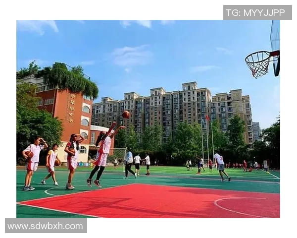 南京乒乓球队的拼搏之路与荣耀时刻全景回顾 南京乒乓球队的拼搏之路与荣耀时刻全景回顾