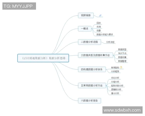 深入探讨北京羽毛球队的力量表现与数据分析背后的秘密与启示 深入探讨北京羽毛球队的力量表现与数据分析背后的秘密与启示