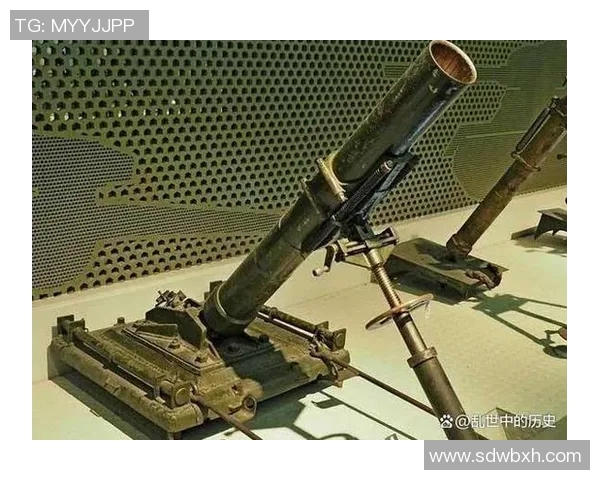 西安排球队的阵地战体系解析与战术应用探讨 西安排球队的阵地战体系解析与战术应用探讨