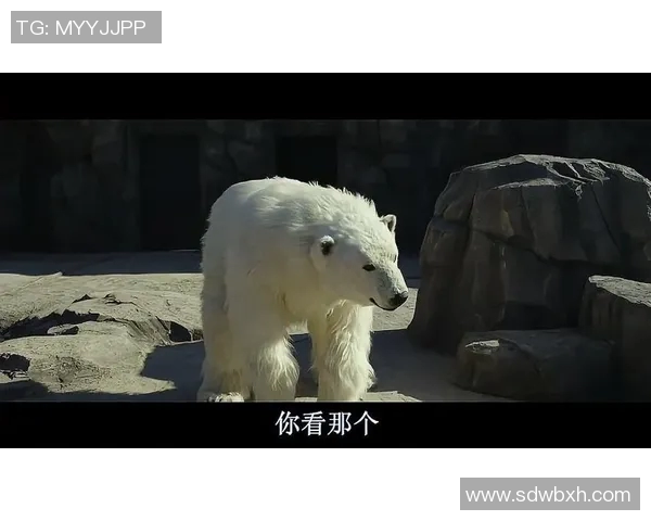 琼斯的奇幻冒险之旅探索未知世界的秘密与挑战