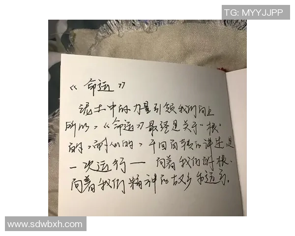 王汝恒的奋斗历程与人生哲学：从平凡到卓越的启示与思考