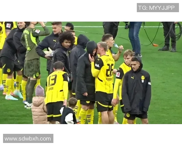 美因茨对阵多特蒙德比赛前瞻及胜负预测分析