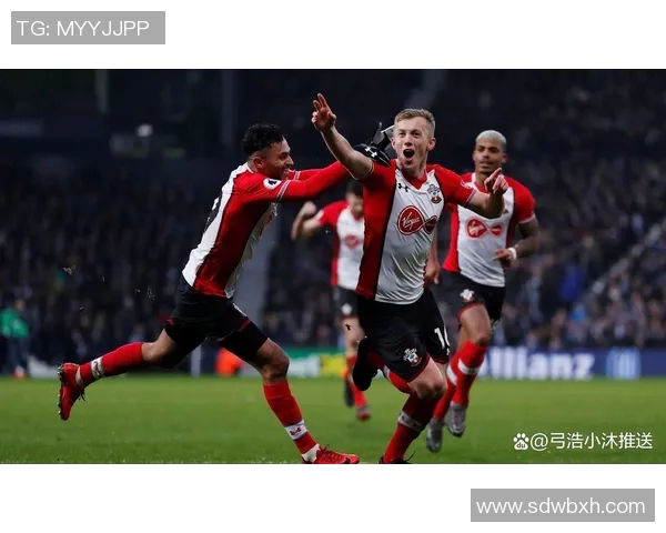 莱切主场迎战布赖顿双方争夺英超宝贵积分之战