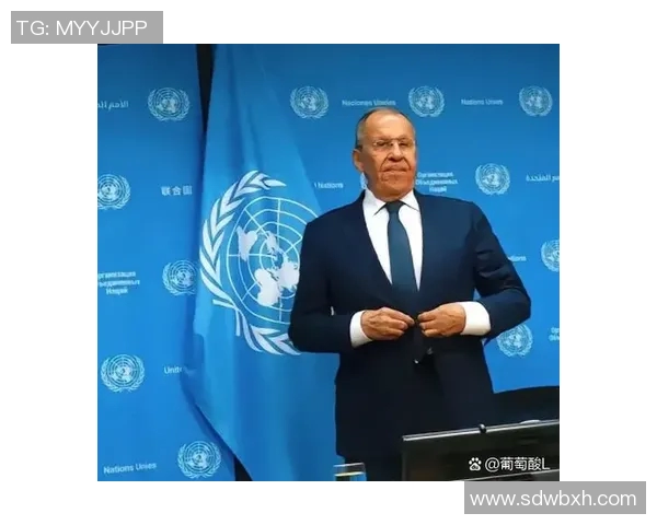 赖斯的外交智慧与全球影响力探讨：重塑国际关系的新篇章