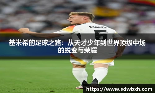 芒果体育app官网入口
